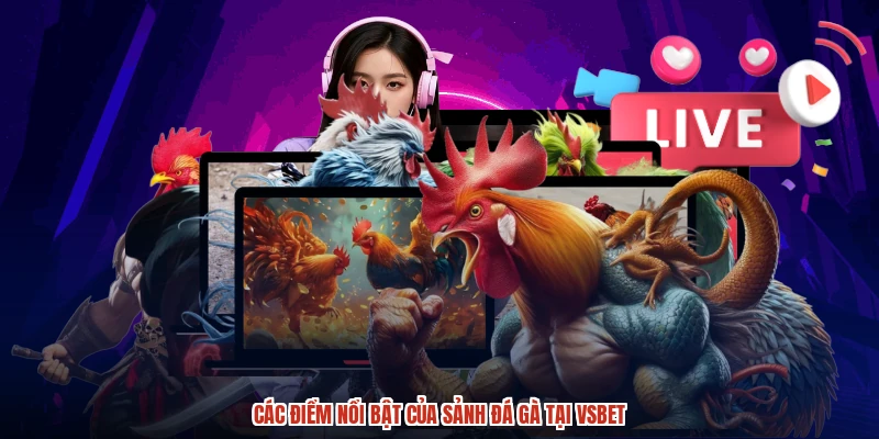Các điểm nổi bật của sảnh đá gà tại VSBET