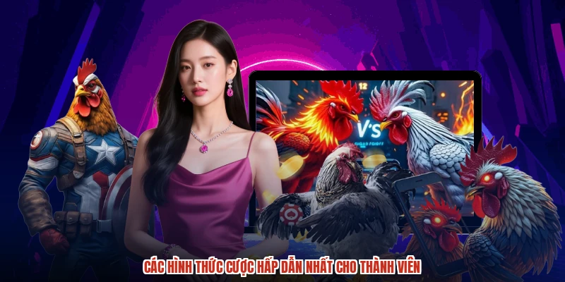 Các hình thức cược hấp dẫn nhất cho thành viên