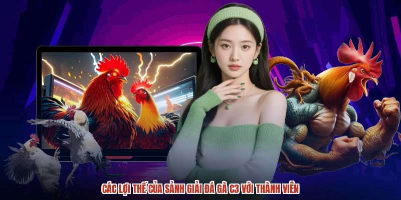 Các lợi thế của sảnh Giải đá gà C3 với thành viên