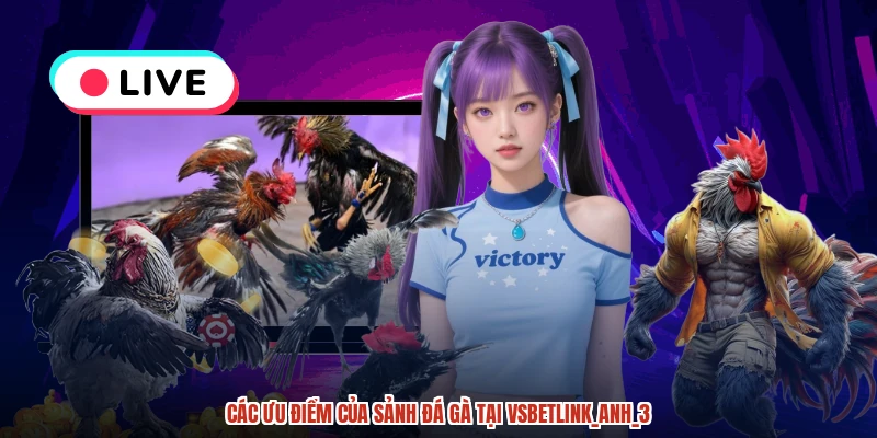 Các ưu điểm của sảnh đá gà tại VSBETlink_anh_3