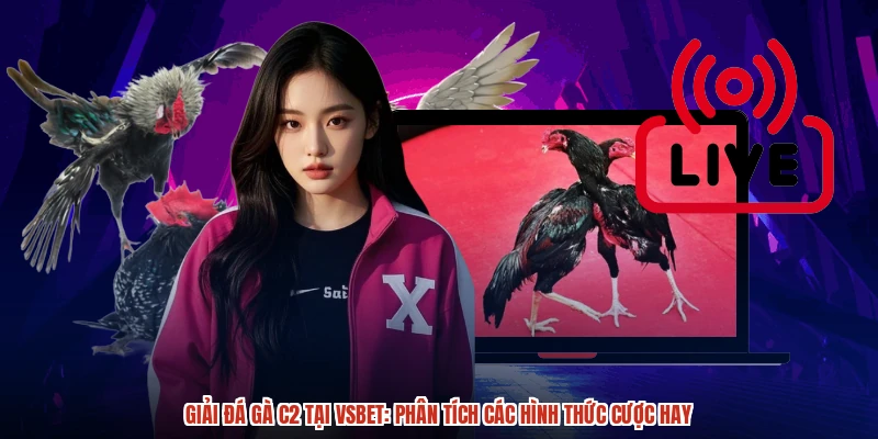 Giải đá gà C2 tại VSBET: Phân tích các hình thức cược hay