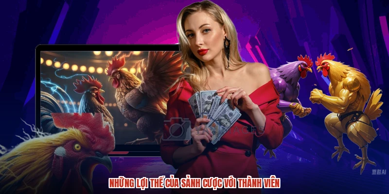 Những lợi thế của sảnh cược với thành viên