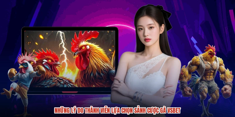 Những lý do thành viên lựa chọn sảnh cược gà VSBET