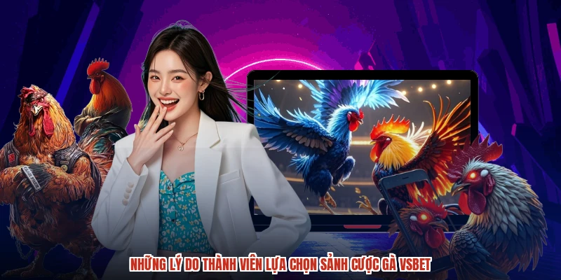 Những lý do thành viên lựa chọn sảnh cược gà VSBET