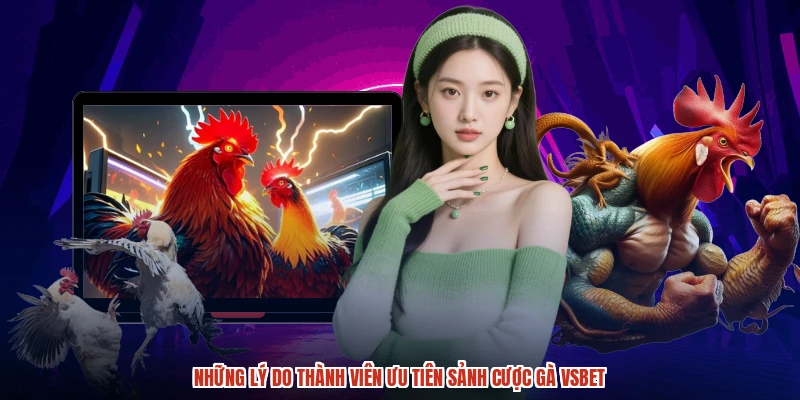 Những lý do thành viên ưu tiên sảnh cược gà VSBET
