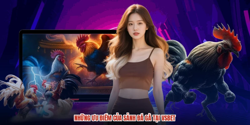 Những ưu điểm của sảnh đá gà tại VSBET