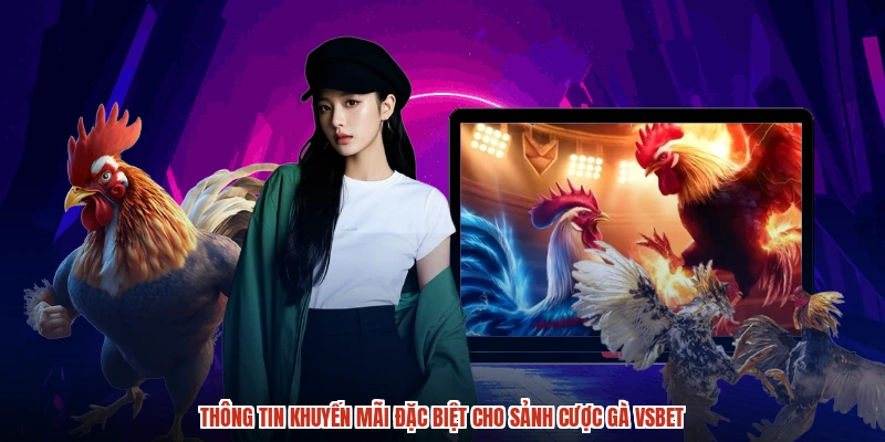Thông tin khuyến mãi đặc biệt cho sảnh cược gà VSBET