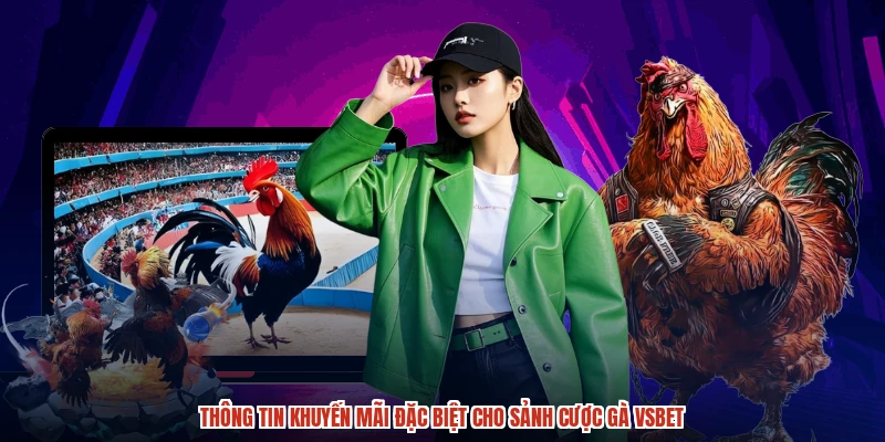 Thông tin khuyến mãi đặc biệt cho sảnh cược gà VSBET