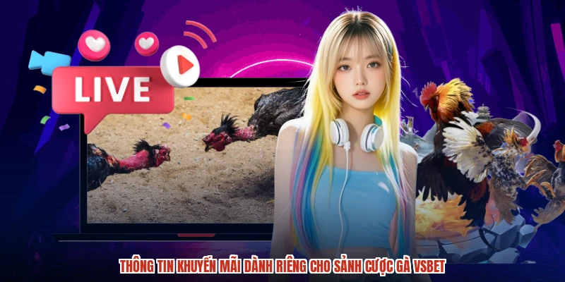 Thông tin khuyến mãi dành riêng cho sảnh cược gà VSBET
