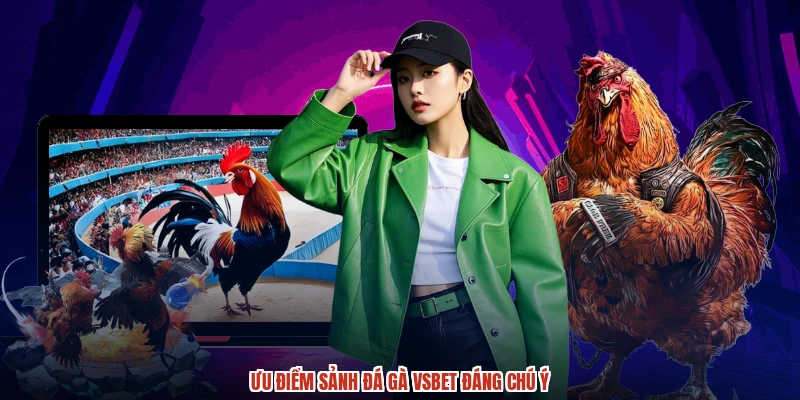 Ưu điểm sảnh đá gà VSBET đáng chú ý