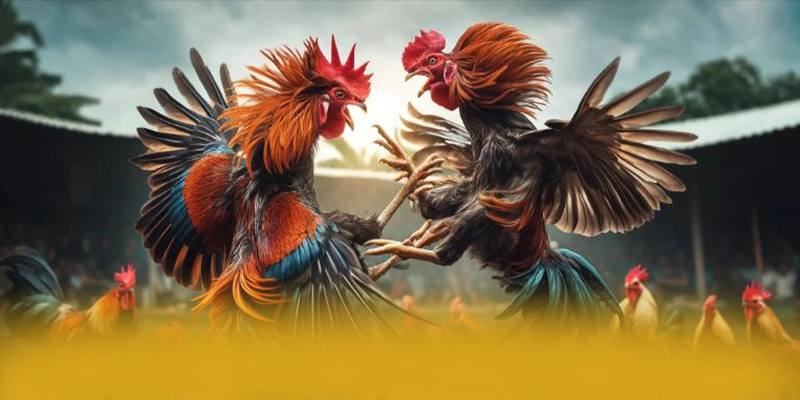 Tìm hiểu SUNWIN - Sân chơi được yêu thích nhất tại Việt Nam Tìm hiểu SUNWIN - Sân chơi được yêu thích nhất tại Việt Nam